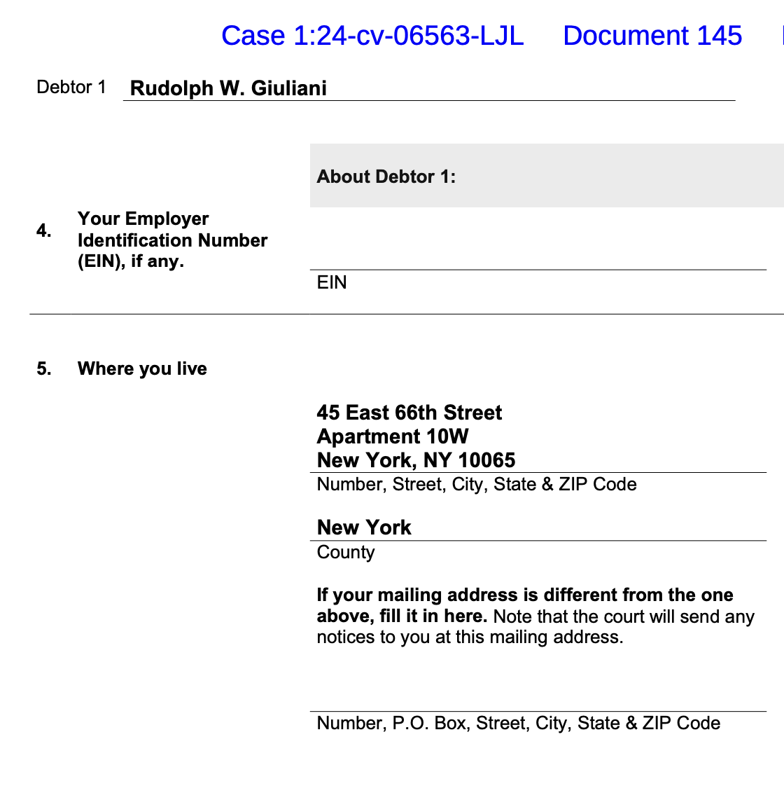 Debtor 1 Rudolph W. Giuliani About Debtor 1: Your Employer Identification Number (EIN), if any. EIN Where you live 45 East 66th Street Apartment 10W New York, NY 10065 Number, Street, City, State & ZIP Code New York